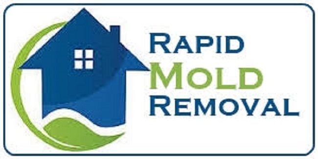 Rapid Mold Removal Rapid Mold Removal