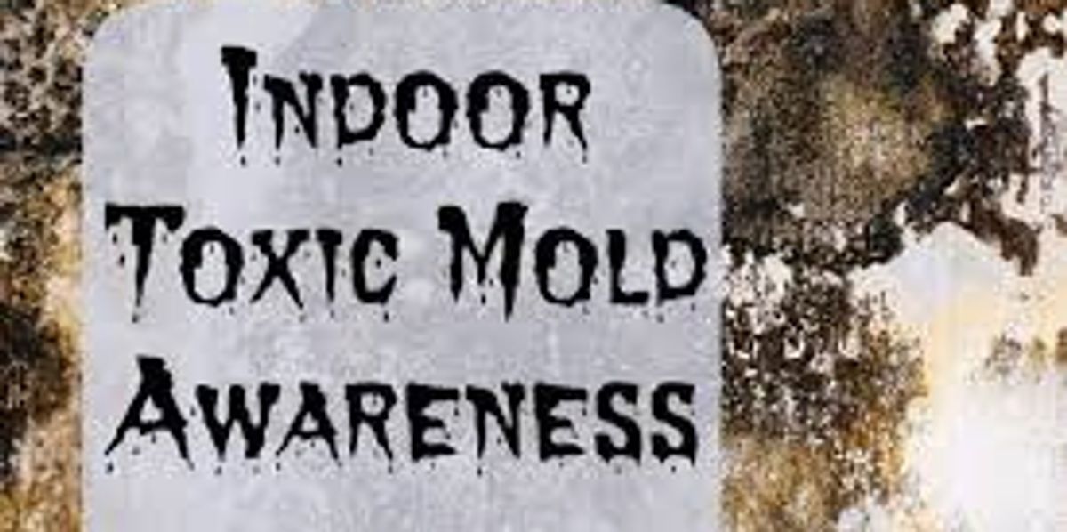 Indoor Toxic Mold Awareness Indoor Toxic Mold Awareness