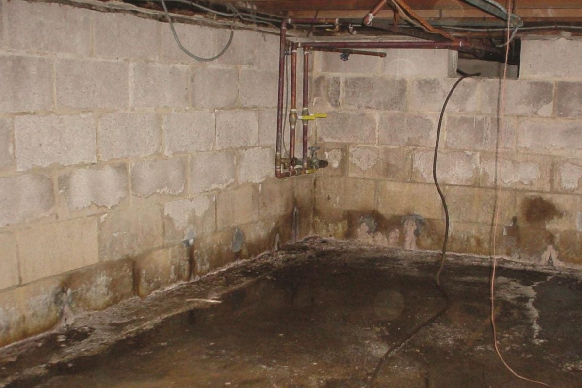 Mold on a Basement Wall Mold on a Basement Wall