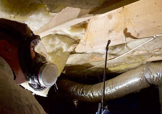Mold in a Ventilation System Mold in a Ventilation System