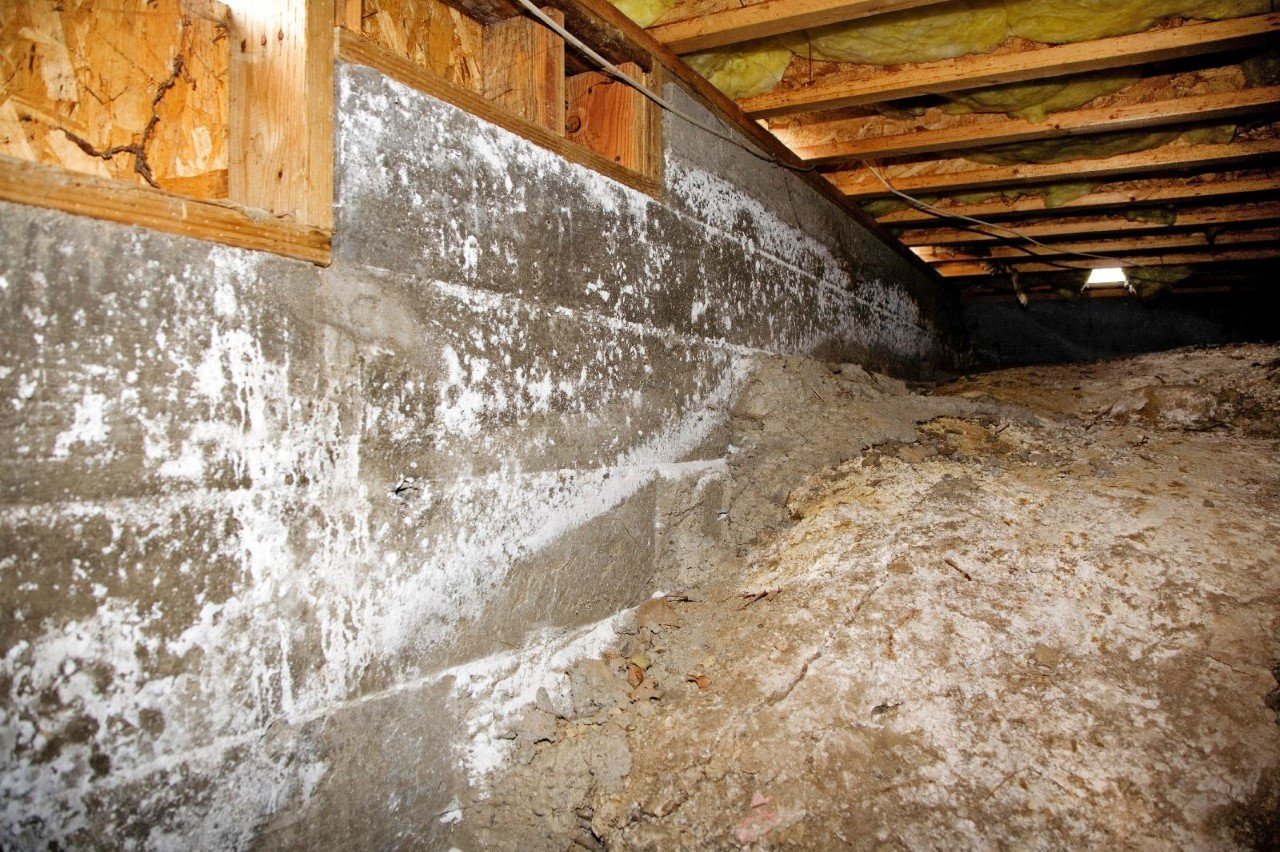 Pest Damage in a Crawl Space Pest Damage in a Crawl Space