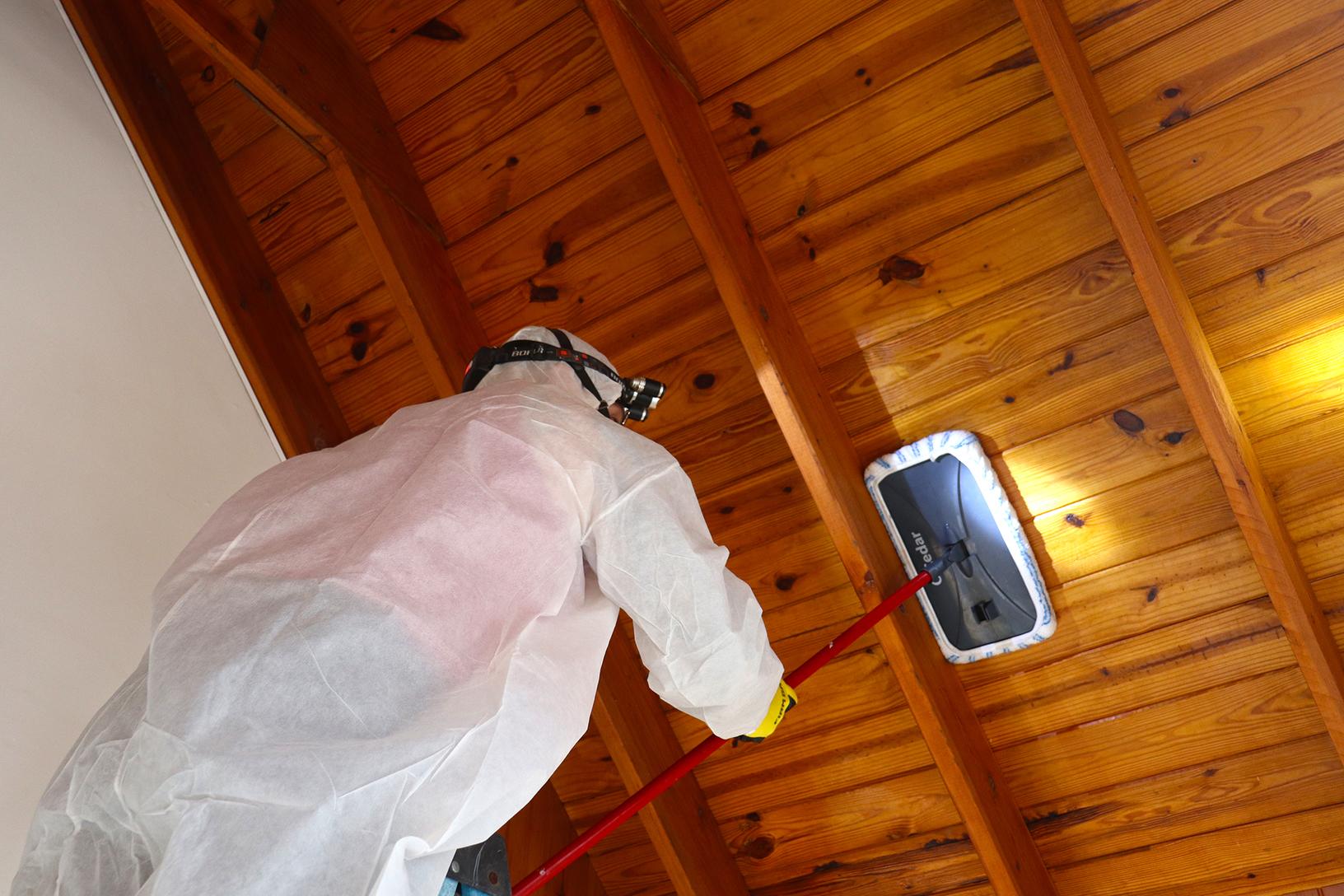 Cleaning Mold Off a Roof Cleaning Mold Off a Roof